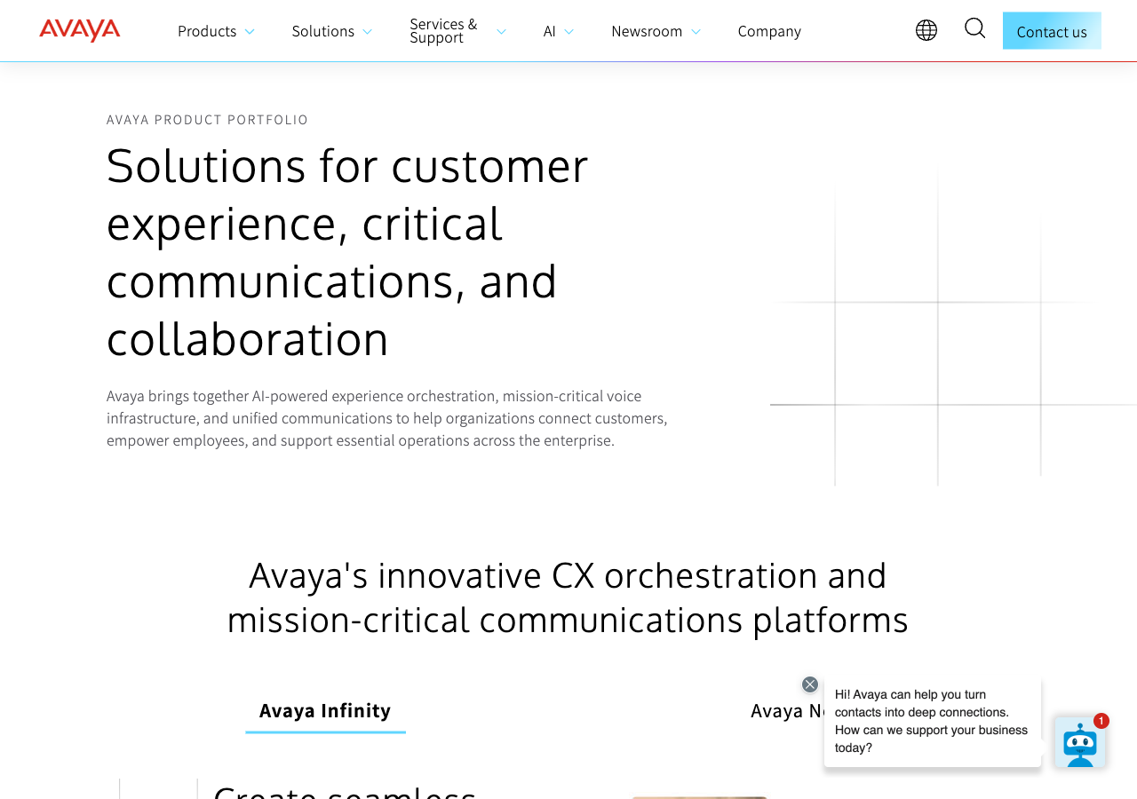 Avaya screenshot 1